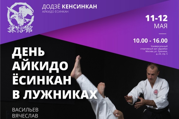 День Айкидо Ёсинкан в Лужниках