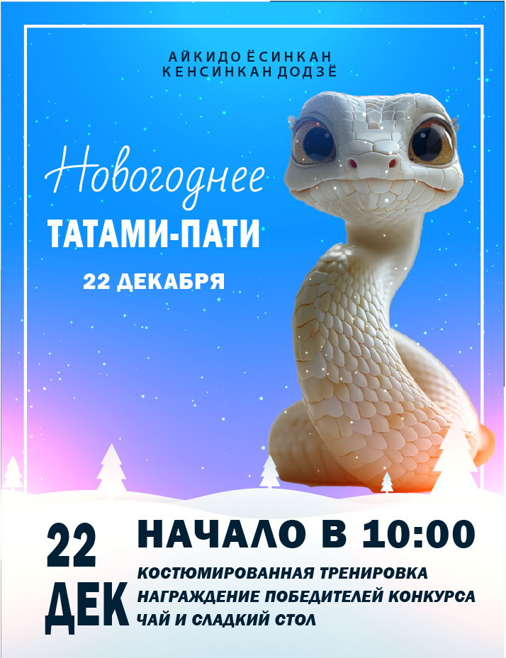 Новогоднее татами-пати 2024