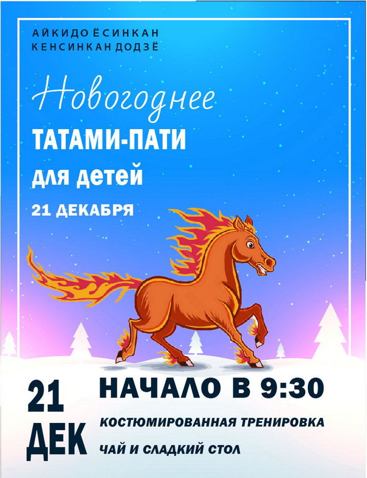 Татами Пати для детей. Новогодняя тренировка Айкидо