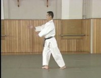 Видео основы Ёсинкан айкидо (стойки, передвижения…)