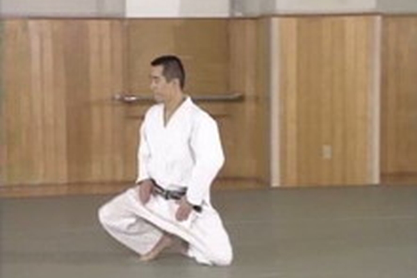 Перемещение на коленях (Shikko Ho)
