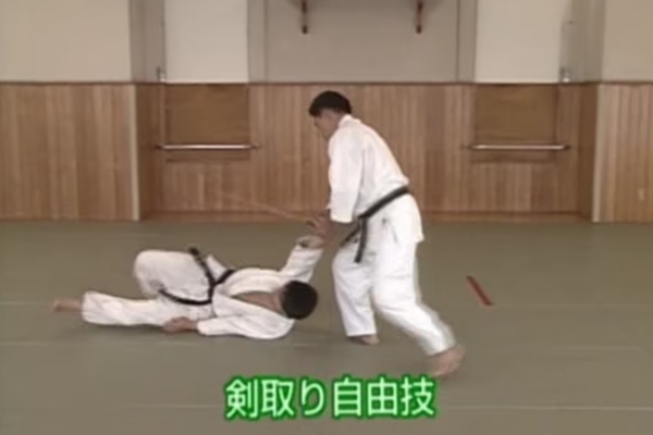 Ushiro Waza Ryohiji Mochi / Ushiro Waza Ryokata Mochi / Tanto Dori / Ken Dori Jiyu Waza
